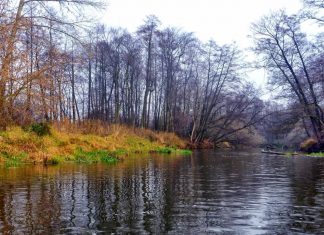 Bzura – charakterystyka rzeki