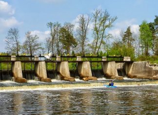 Czarna Maleniecka – charakterystyka rzeki