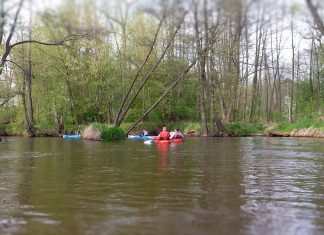 Drzewiczka – charakterystyka rzeki