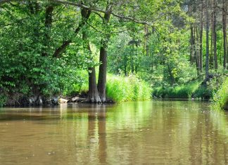Luciąża – charakterystyka rzeki
