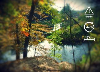 Rzeka Rawka na trasie Budy Grabskie – Bolimowska Wieś, Meandry Rawki