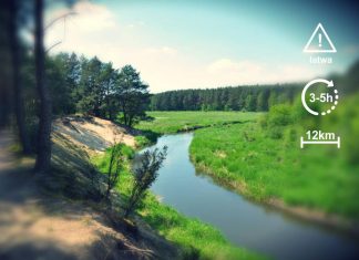 Luciąża – golden eyes