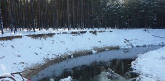 XI Noworoczna Królewska Pilica