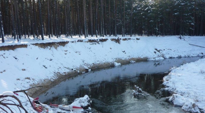 XI Noworoczna Królewska Pilica