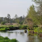 2014 04 24 Rawka Żydomice (2)