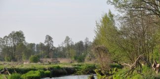 Powitanie wiosny w Willa Amber Zakościele