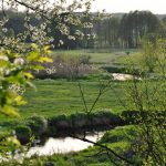 2014 04 24 Rawka Żydomice (25)