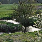 2014 04 24 Rawka Żydomice (28)