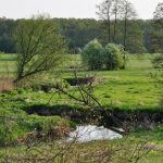 2014 04 24 Rawka Żydomice (5)