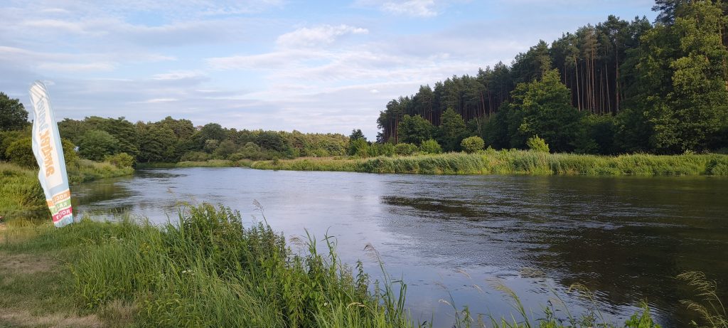 Rzeka Pilica